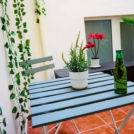 Apartament Loft Sirenita. Muy Centrico Con Patio Privado